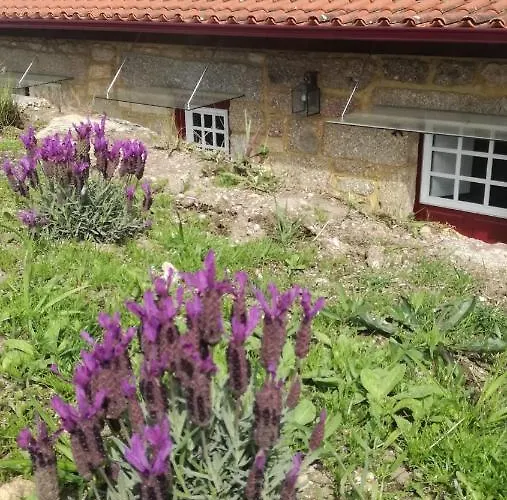 منزل ريفي Casa Do Rancho - *